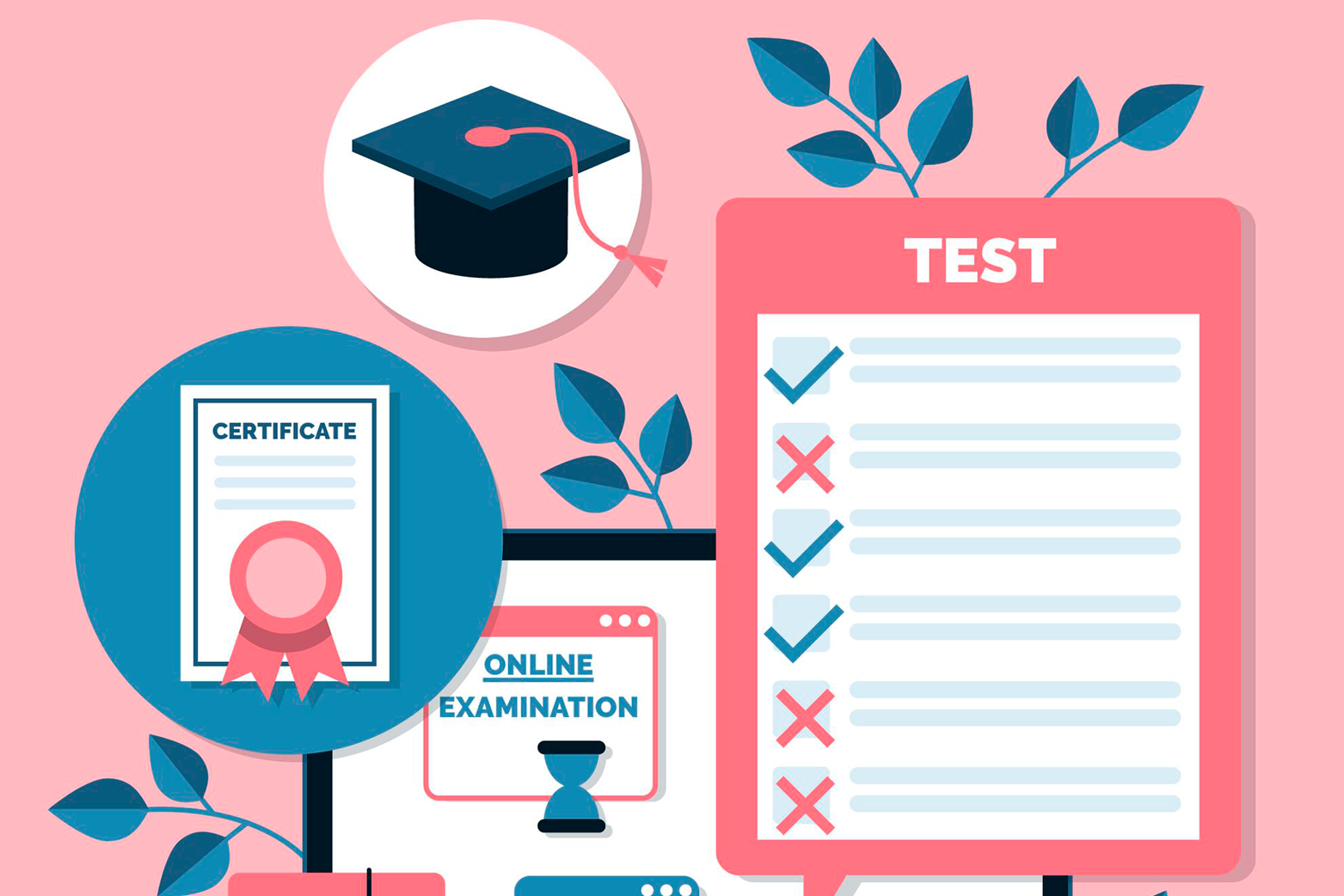 Plan de estudios – Trabajo especial de grado